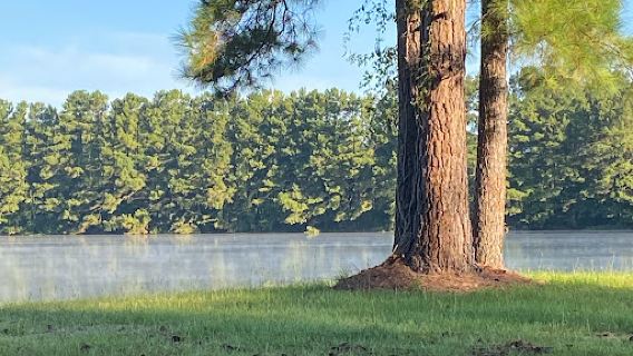 Lake Leamon