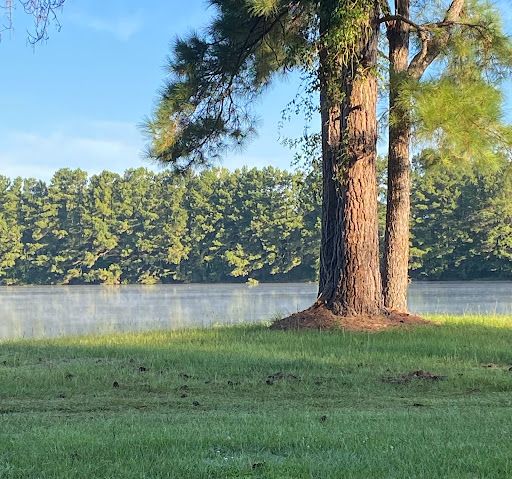 Lake Leamon