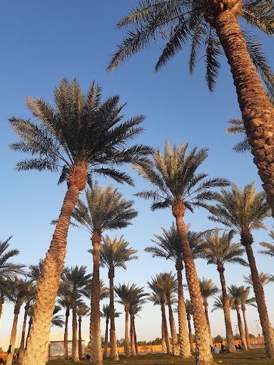 Doha to Sharurah flight