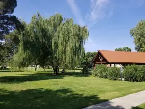 The Park in Wink