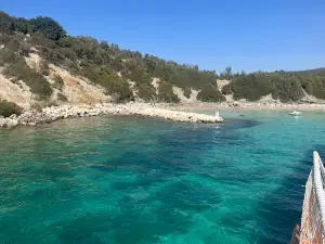 Rasmus Boat Tours