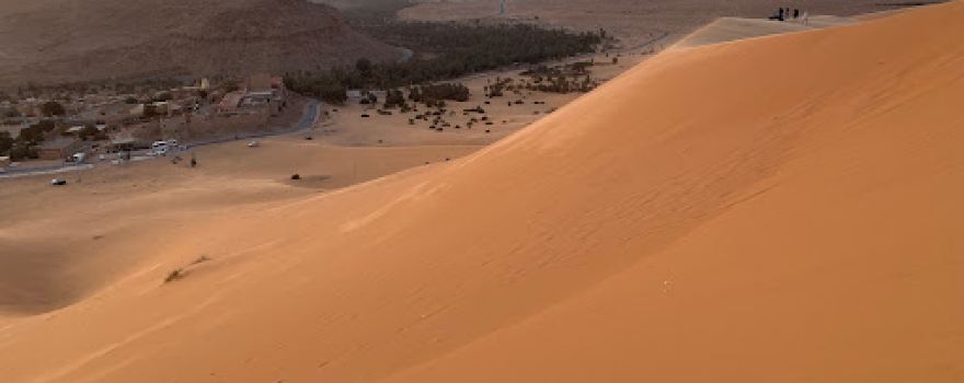 oasis TAGHIT