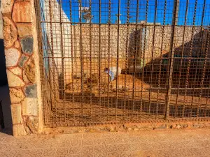 The Jordan Zoo
