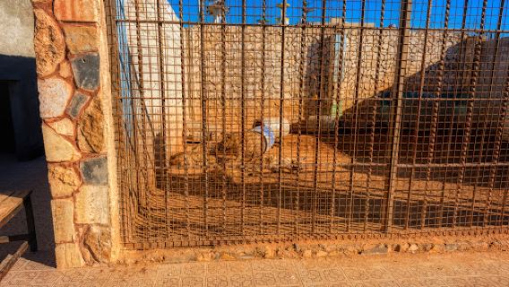 The Jordan Zoo