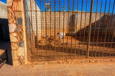 The Jordan Zoo