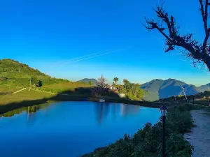 Timure Taal