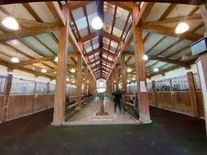 Erbil International Equestrian Club