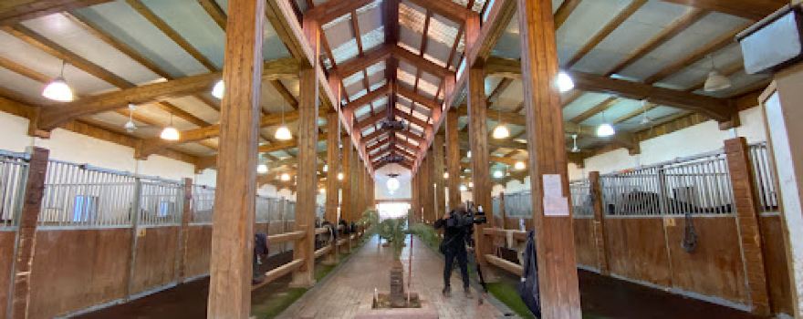 Erbil International Equestrian Club