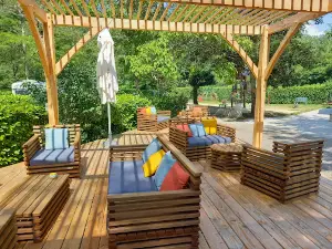 Camping Des Drouilhèdes