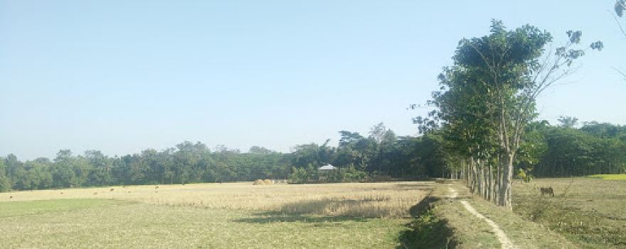 Fotehpur Poschimpara Mosjid ফতেহপুর পশ্চিমপারা মসজিদ