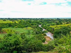 Sekenke mountains