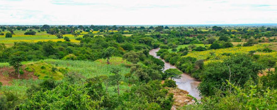 Sekenke mountains