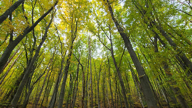 Boyana Waterfall - starting point