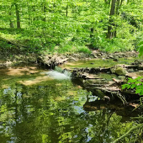 Pine Ridge Park