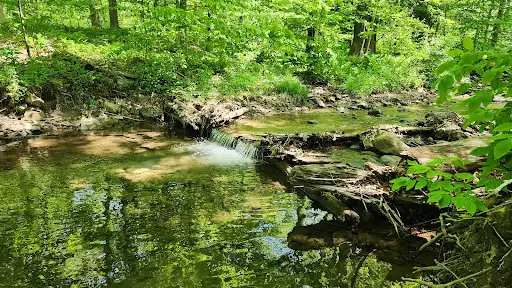 Pine Ridge Park