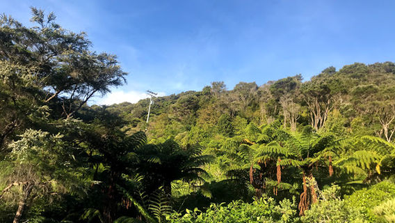 Ruakaka Bay