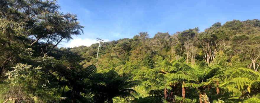 Ruakaka Bay