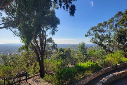 Windy Point Restaurant