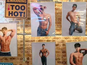 와일드 와일드 쇼