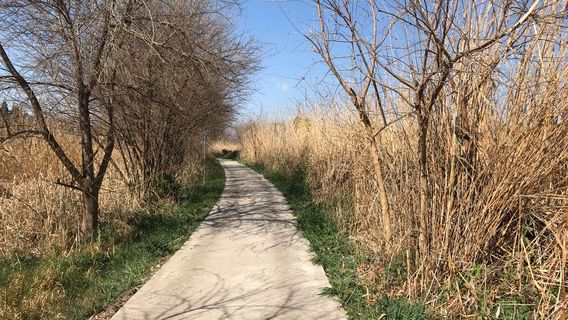 Evergrande Health Valley Wetland Park