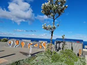 Stanwell Tops Lookout