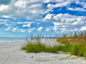 Nokomis Public Beach