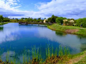 Termas Chajarí