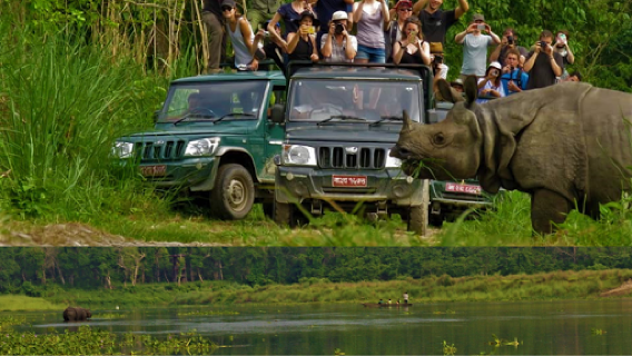 Chitwan National Park Safari & Tours