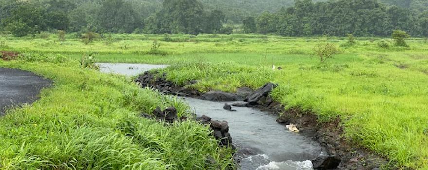 Madhuli Farm