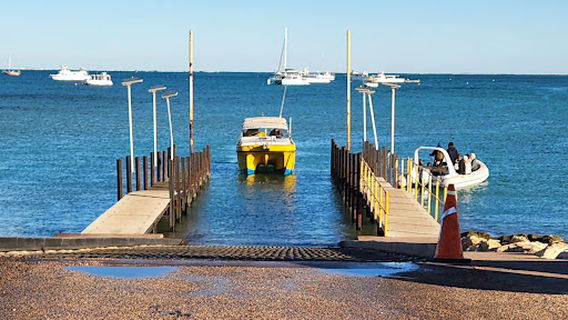 Cape Immersion Tours