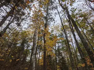 Fallison Lake Nature Trail