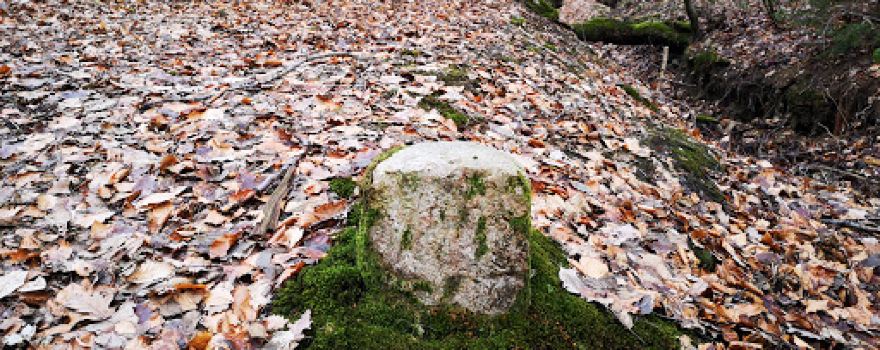 Kastell Maisel