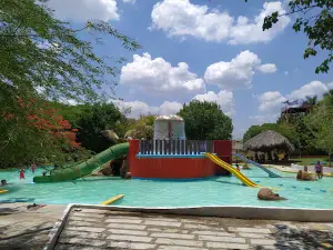 Water Park Coy