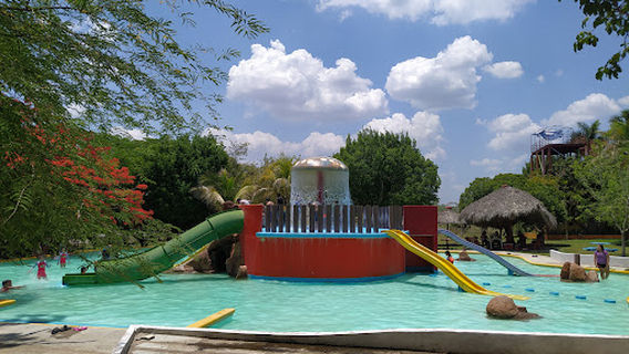 Water Park Coy