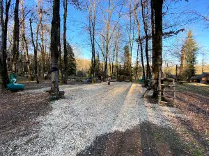 Accrobranche Monkey's Forest