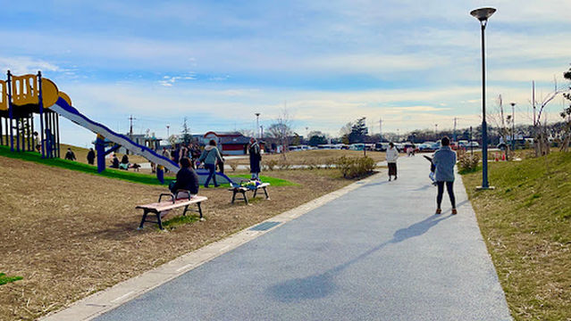 権現堂2号公園 築山