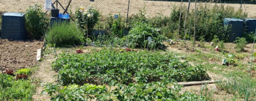 Jardins familiaux de Champalaune