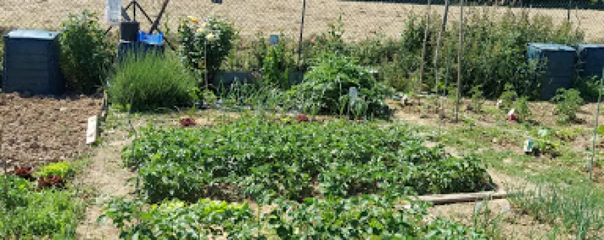 Jardins familiaux de Champalaune