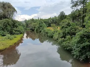 Bhoo (Bhu), Taluka Rajapur, District Ratnagiri, Maharashtra, India