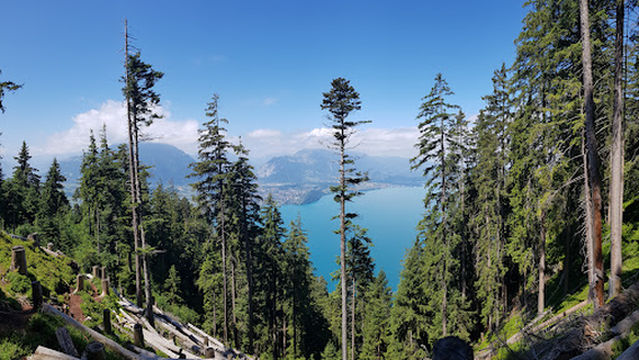 Schmocken - Niederhorn