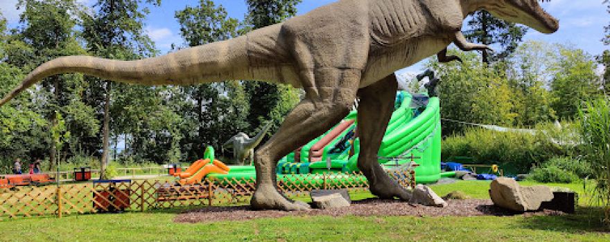 DINOLAND Katzenberg