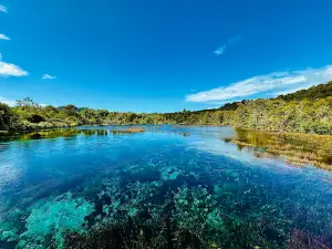 Te Waikoropupu Springs Scenic Reserve