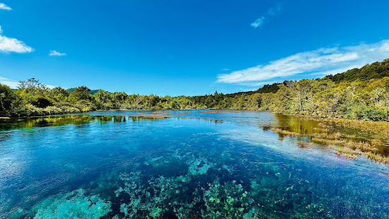 Te Waikoropupu Springs Scenic Reserve