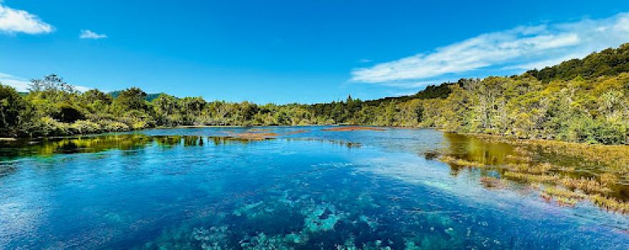 Te Waikoropupu Springs Scenic Reserve