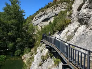 Paseo del Rio Oca
