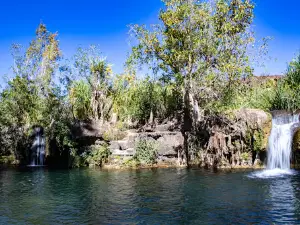 Lawn Hill Gorge Camping Area, Boodjamulla National Park (Aboriginal Land)