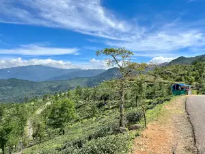 Ponmudi View Point