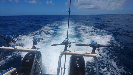 Kzn Fishing Charters