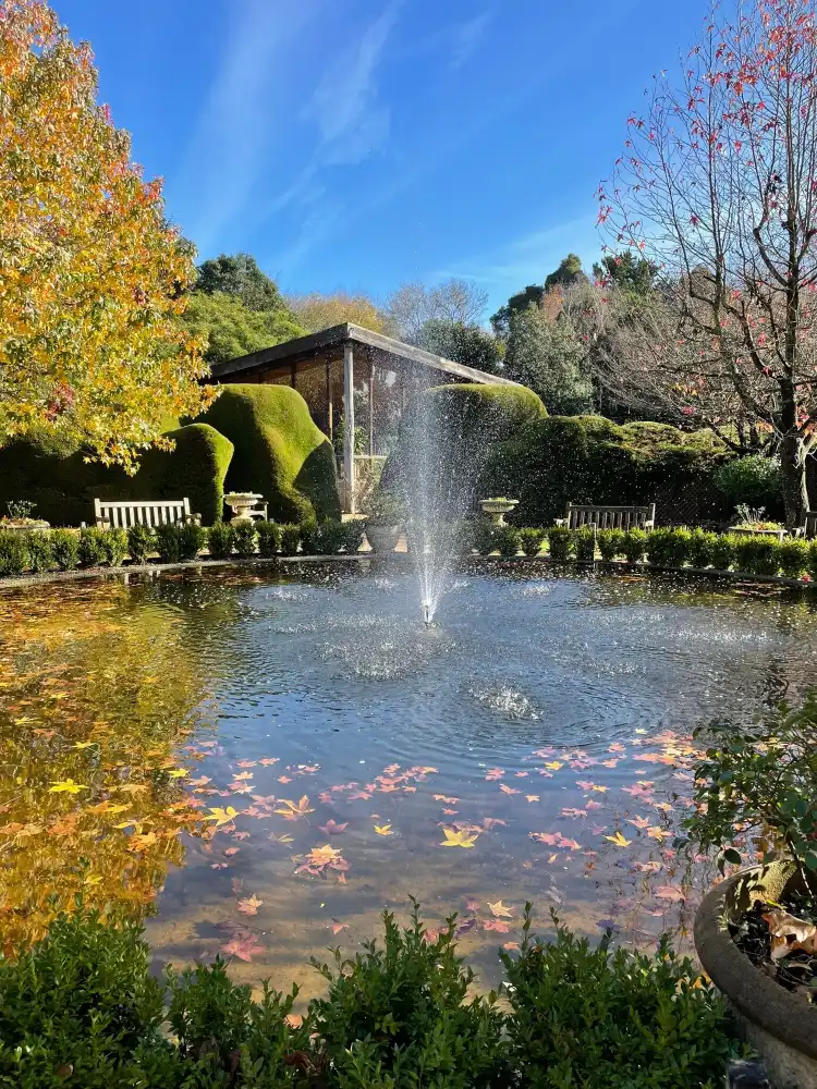 Hotels near Ashcombe Maze & Lavender Gardens