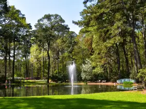 Norfolk Botanical Garden